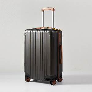 Tucano Woodpecker Classic <b>Suitcase</b> 20/24 Inch Pc Luggage With Spinner Wheels And Lock For Leisure Travel - Product Image 2
