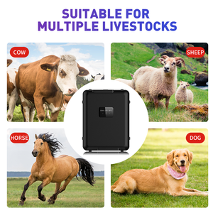 DF V55 4G - Mini Rastreador GPS Solar para Ganado, Batería de Larga Duración, Dispositivo de Rastreo de Animales para Vacas y Ovejas - Product Image 3