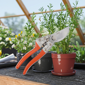 <span class=keywords><strong>Prix</strong></span> de gros, outils de jardinage manuels, ciseaux de <span class=keywords><strong>taille</strong></span>, sécateurs, cisailles à branches de <span class=keywords><strong>pommier</strong></span>, lame en acier de haute qualité, rouge argent, 20 cm - Product Image 5