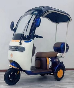 Tricycle électrique fermé à 3 roues avec auvent, moteur sans balais 650W, vitesse maximale 45 km/h, certifié CE - Product Image 3