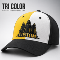Casquette de baseball personnalisée avec logo tricolore, brodée, en coton, 6 panneaux, visière incurvée réglable, streetwear, vente en gros, OEM, faible MOQ