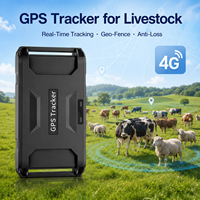 Traceur GPS intelligent 4G pour bétail, IP67, autonomie de 1 an, surveillance des vaches laitières, prend en charge le positionnement des animaux en temps réel par GPS+WiFi+LBS