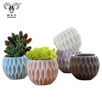 Mini vaso de planta de cerâmica pintado personalizado, mini vaso de planta interna
