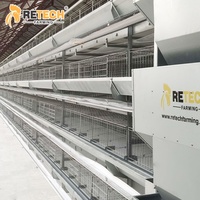 Équipement de cage en batterie automatique de type H de haute qualité pour 30 000 poulets pondeuses en ferme avicole au Nigeria