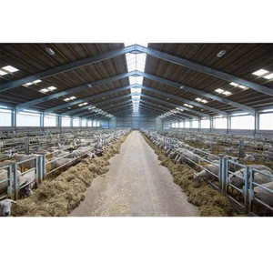 Abri en plastique de haute qualité pour l'élevage de chèvres RG, plancher à lattes en acier pour l'élevage de chèvres et de moutons - Product Image 5