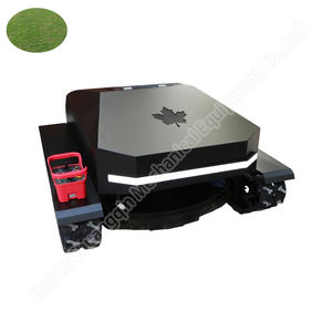 Tondeuse à gazon électrique authentique avec moteur et roulement de moteur, largeur de coupe de 55 cm, meilleur prix pour la coupe de l'herbe - Product Image 5