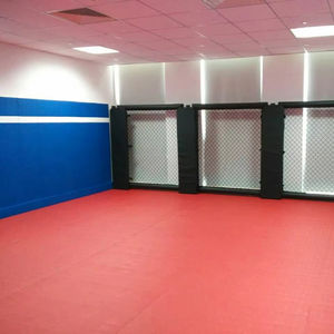 小さなレスリングマットFightBro - Product Image 1