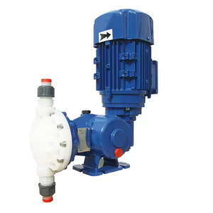 Bomba Dosificadora de Cloro Automática Seko para Líquidos Químicos - Product Image 2