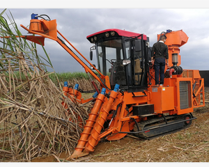Cosechadora de caña de azúcar, máquina de recolección de caña de azúcar, alta tasa de germinación, directa de fábrica - Product Image 2