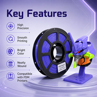 Filamento PETG Básico Inicial Color Púrpura, Material de Impresión de Alta Resistencia, Filamento para Impresora 3D para Impresión FDM