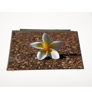 Pannello LCD NV156FHM-N31 da 15,6 Pollici, Display TFT LCD 1920*1080 - Product Image 1