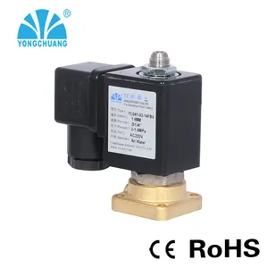 Yongchuang YCGT11 flanş yakut mühür solenoid vana ticari kahve makinesi frothing makinesi için 2 yollu