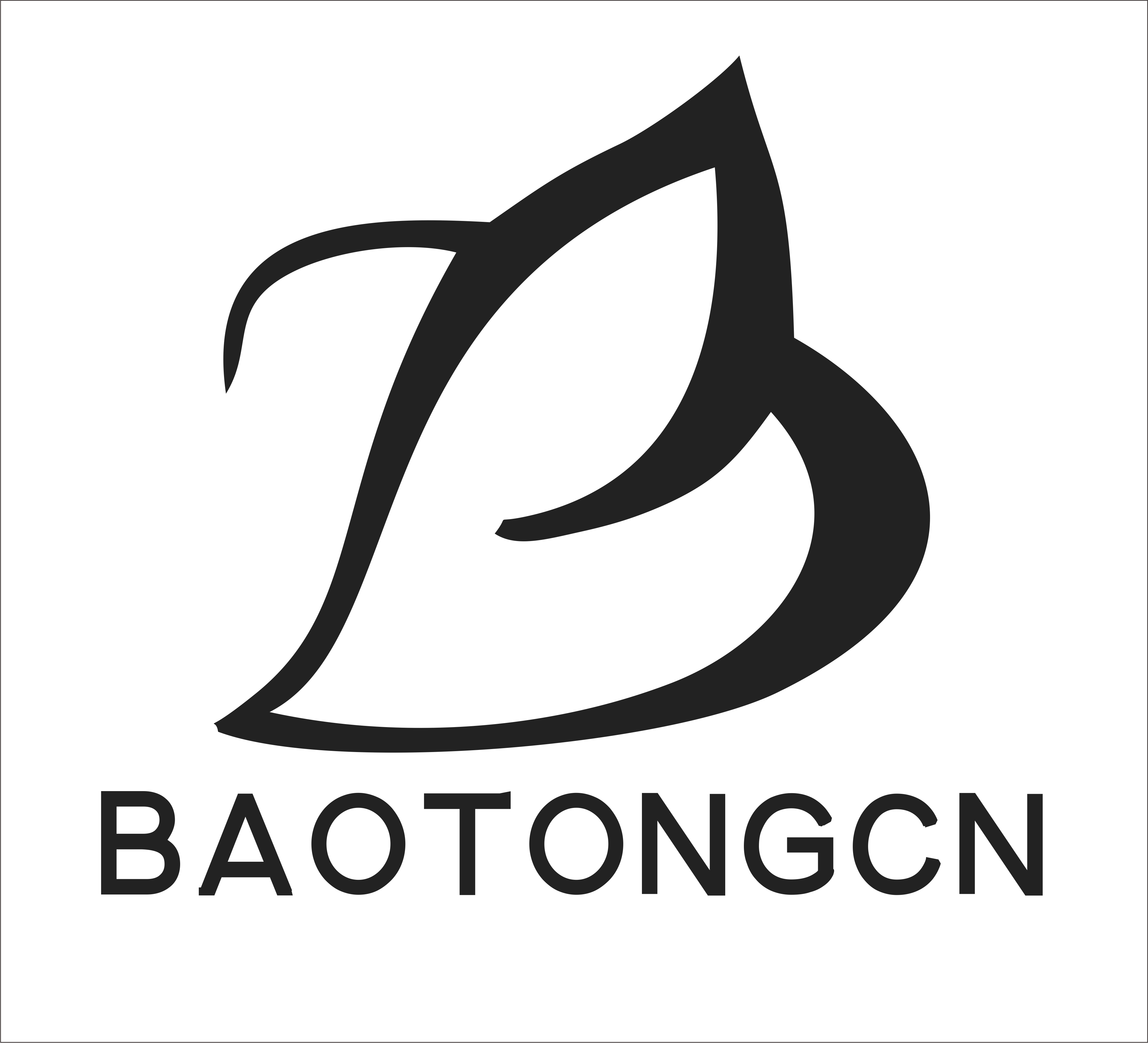 Baotong Commodity (dongguan) Co., Ltd. logo