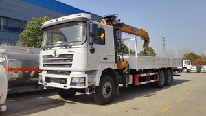 Camión grúa móvil Shacman F3000 10 T 4x2 Euro3, pluma hidráulica de 10 toneladas, capacidad de carga de 25 toneladas, buen precio para rodamiento de Motor - Product Image 2