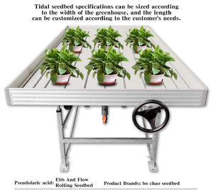 Banc roulant en métal <span class=keywords><strong>table</strong></span> de culture banc roulant tables de culture serre lit de semences de <span class=keywords><strong>marée</strong></span> - Product Image 2