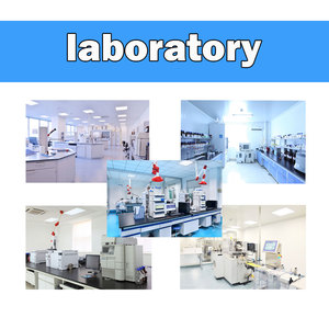 Aminoácidos de Grado Alimenticio, L-Lisina <span class=keywords><strong>HCl</strong></span> 98.5%, Sulfato de L-Lisina 70%, Treonina, Metionina, Cloruro de Colina, Polvo Blanco para Animales - Product Image 6