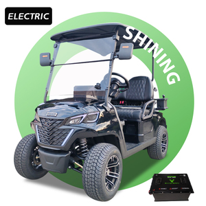Voiturette de golf 2 places avec batterie lithium 48 volts, boîtes latérales personnalisées, certifiée CE, vitesse 50-70 km/h - Product Image 1