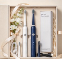 Brosse à dents électrique sonique personnalisable, rechargeable par USB, 6 modes de vibration, étanche IPX7, pour adultes et usage domestique