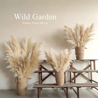 Rumput Pampas Kering Alami Warna Beige untuk Pernikahan, Rumah, dan Hotel (Grosir)