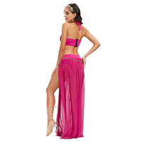 Carnaval Cosplay arabe princesse Costume femmes Sexy dos nu maille robe de danse du ventre