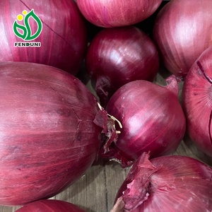 Hành Tây Đỏ Mới Hà Lan Giá Rẻ Bán Sỉ Kích Cỡ 5-10Cm, 20Kg/25Kg Túi FOB/CFR/CIF - Product Image 4