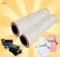 Film DTF PET durable Qinyu pour transfert thermique sur textiles, t-shirts, chaussures et vêtements