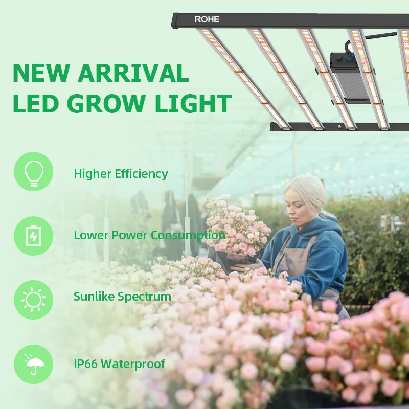 ROHE 새로운 맞춤형 LED-1500W-XR48 % (4*6 피트, 301H) 풀 스펙트럼 LED 성장 조명 성장 식물 + 종자 시작 설계