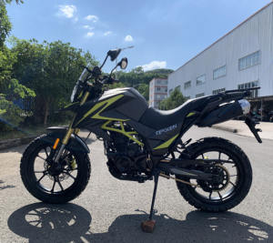 จีนรถจักรยานยนต์ FUEGO <span class=keywords><strong>TEKKEN</strong></span> <span class=keywords><strong>2</strong></span> Eec รถมอเตอร์ไซด์ราคาถูกขาย <span class=keywords><strong>TEKKEN</strong></span> II 22110142 - Product Image 2