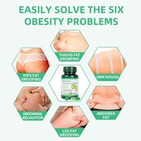 Capsules Minceur Slim Plus à Fibres Alimentaires – 60 Comprimés – Garcinia Cambogia Naturelle – Brûleur de Graisse & Soutien Détox – Vente Directe Usine – OEM