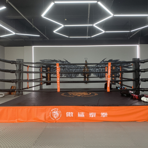 <span class=keywords><strong>Ring</strong></span> <span class=keywords><strong>de</strong></span> <span class=keywords><strong>Boxeo</strong></span> Multifuncional para Entrenamiento, <span class=keywords><strong>4x4</strong></span>, con Falda, Equipo <span class=keywords><strong>de</strong></span> Kickboxing, Venta al Por Mayor - Product Image 3