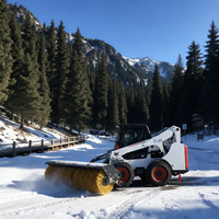 Skid-Steer Schneeschild-Anbaugerät zur Straßenräumung mit Direktlieferung vom Hersteller für Globale Händler