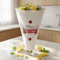 Manchons en papier kraft écologiques jetables pour plantes de Noël, pour l'agriculture et l'horticulture, avec impression flexo