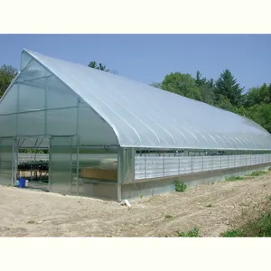 双面自然通风10英亩西红柿传播器温室塑料聚乙烯薄膜隧道农业温室