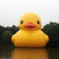 Dessin animé flottant gonflable géant de 12m-15m sur le lac de la mer
