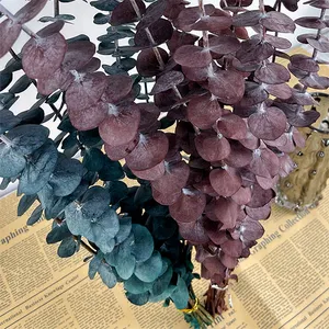 100% naturale 10 pezzi di forma di eucalipto naturale 17 "fresco appeso foglie di eucalipto veri rami bagno di nozze vaso