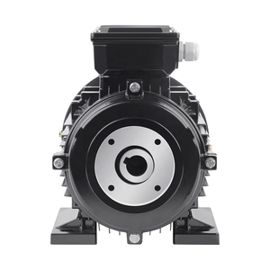 <span class=keywords><strong>Moteur</strong></span> de nettoyeur haute pression 7,5 kW avec entraînement direct <span class=keywords><strong>à</strong></span> arbre creux - Product Image 6