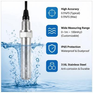 Capteur de niveau d'eau submersible haute stabilité 4-20mA, étanche, avec sonde en acier inoxydable - Product Image 3