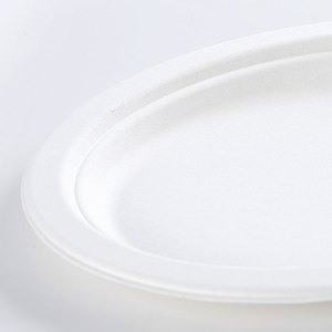 <span class=keywords><strong>Assiette</strong></span> ovale en fibres <span class=keywords><strong>de</strong></span> <span class=keywords><strong>canne</strong></span> à sucre écologique <span class=keywords><strong>Assiette</strong></span> à dîner en bagasse compostable <span class=keywords><strong>Assiette</strong></span> ovale en bagasse <span class=keywords><strong>de</strong></span> <span class=keywords><strong>canne</strong></span> à sucre - Product Image 5