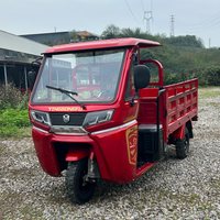 Kargo Motorlu Üç Tekerlekli Bisiklet Kitleri Fabrika Satışı 3 Tekerlekli D9 Benzinli Üç Tekerlekli Bisiklet Bayiler İçin