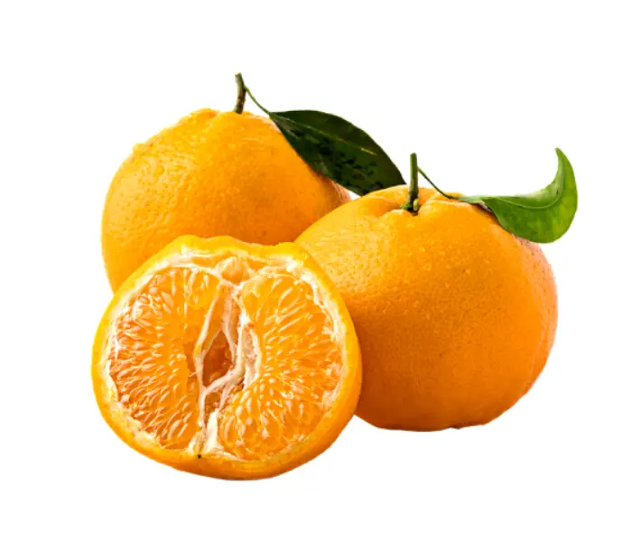 Fresh Sweet Mandarin Orange Citrus Fruit Oranges and Tangerines Fruit