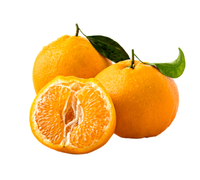 Verse Zoete Mandarijn Oranje Citrusvruchten Sinaasappelen En Mandarijnen Fruit