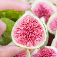Gefreeze-droogde gesneden vijgen Gezonde snacks Groothandel Zoet 1kg Bulk Zonder merk Klaar om te eten 5% vocht 18 maanden houdbaarheid Gemaakt