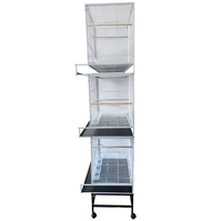 Nouvelle Arrivée - Cage d'élevage double en fer pour perroquets Gris Africain avec séparateur - Vente en gros