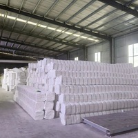 Módulos de Fibra Cerámica al por Mayor con Anclajes para Hornos Industriales