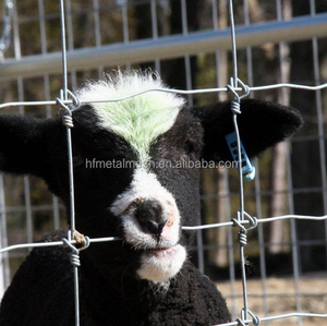 Malla de Alambre de Acero Galvanizado de Tejido Plano para Cercas de Ganado con Corte y Doblado Personalizados - Product Image 3