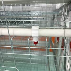 Ferme avicole Offre Spéciale a Type 5000 Poulet 120 Oiseaux Couche d'oeufs Cage à poulet Batterie d'animaux Oeuf Poule Élevage Poulailler - Product Image 3