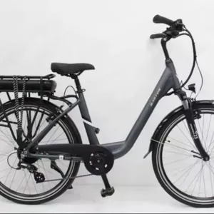 2024 공장 직영 리튬 배터리 에너지 절약 및 친환경 SXRL-148 도시 전기 자전거/도시 전기 자전거