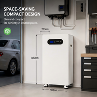 Batterie LiFePO4 professionnelle 51,2 V 314 Ah 16 kWh avec plus de 6000 cycles, stockage d'énergie domestique, lithium sur pied pour la sauvegarde solaire
