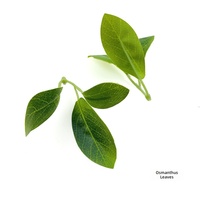 Têtes de fleurs artificielles d'osmanthus Aierflorist, fleurs artificielles parfumées, accessoires pour épingles à cheveux, bouquet, fournitures de fleuristerie décoratives
