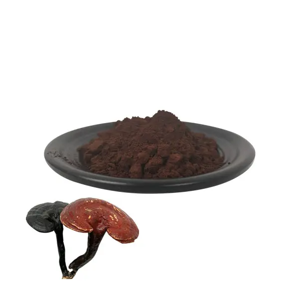 QYherb – poudre d'extrait de Ganoderma Lucidum de haute qualité, approvisionnement d'usine ISO